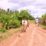 Just along for the ride...