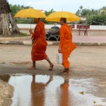 Just along for the ride...