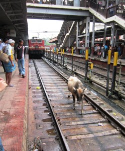 varanasi train (2)
