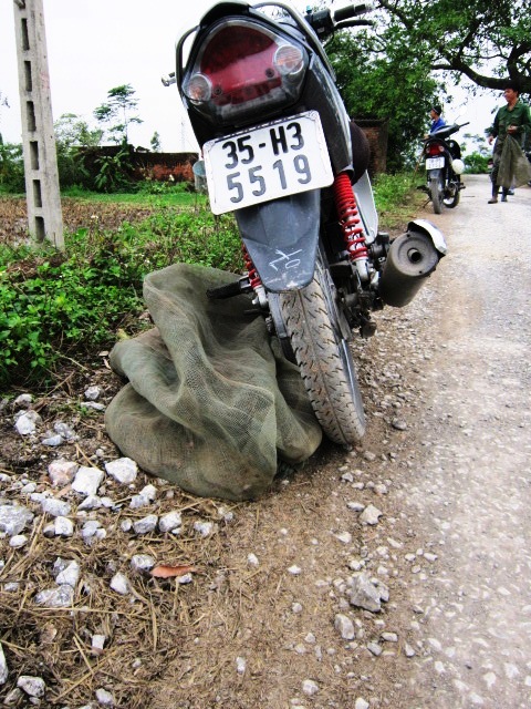 Yes, these are rats which have been captured and tied up in a burlap bag.