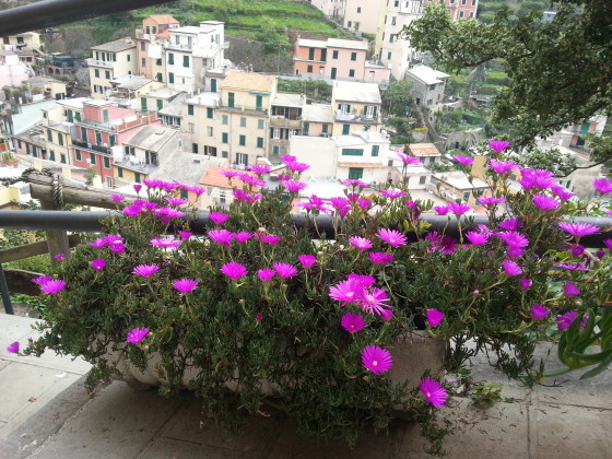 Looking down onto Riomaggiore from a walk far above.