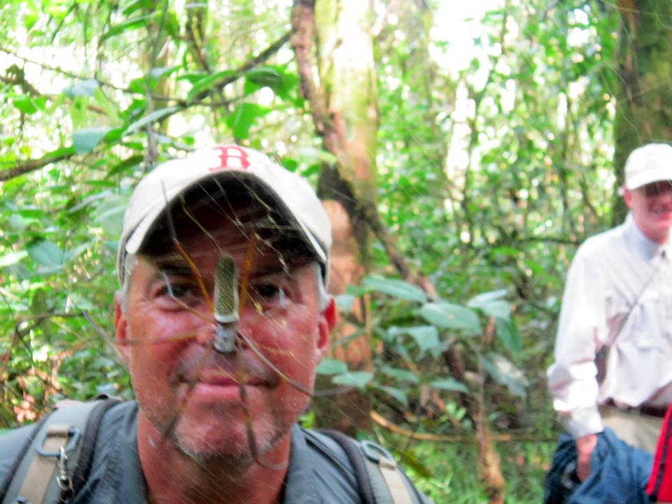 This four-inch spider isn't actually on my face; I'm standing behind the web.