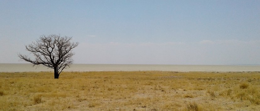 rsz_20161005_123353_-_copy