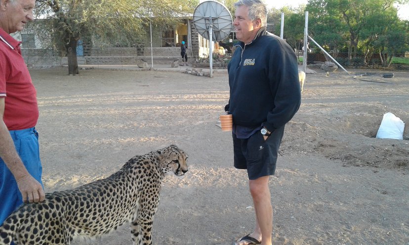 rsz_cheetahwarthog_2_-_copy